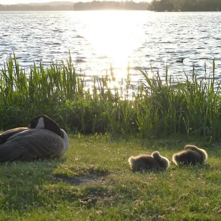 Familienfreundliches Nyaraló Dannau