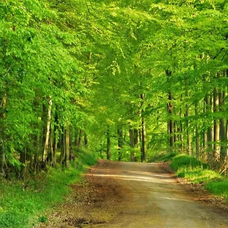 Family-friendly 度假居 *