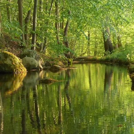 Hébergement de vacances Family-friendly Dannau