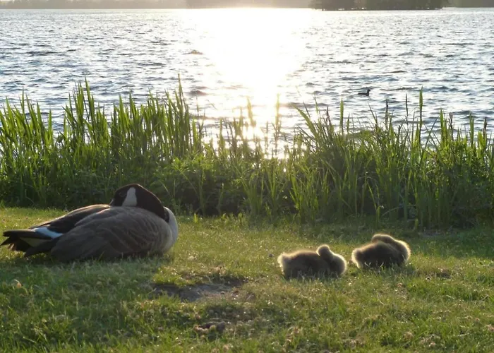 Family-friendly Casa de Férias Dannau